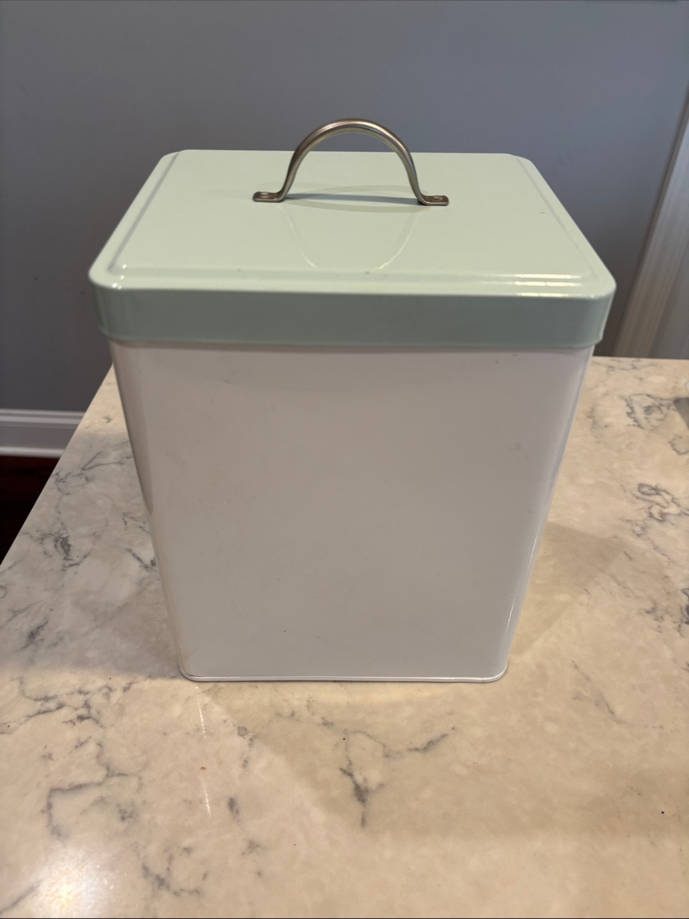 Kitchen Storage Canister with Mint Green Lid - Unbranded